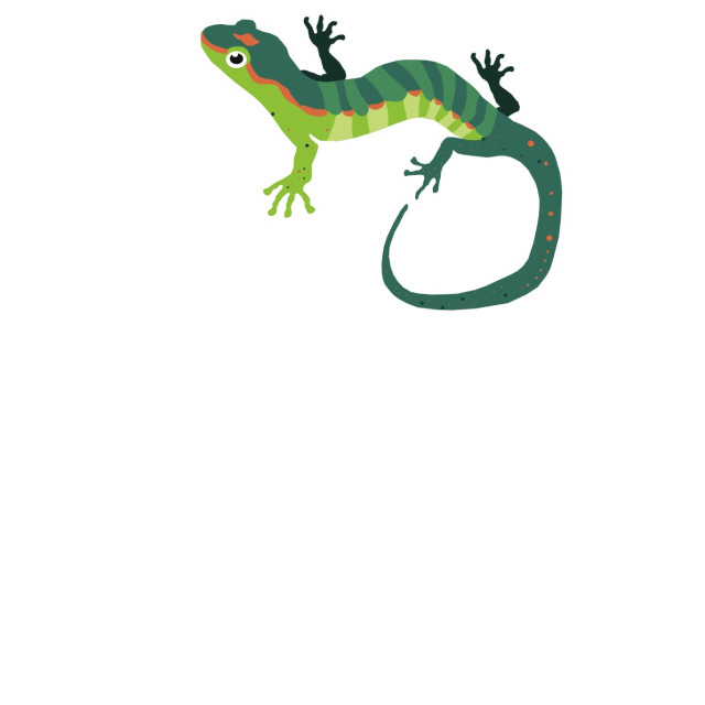 "Lizard Koolamooloo" stock image