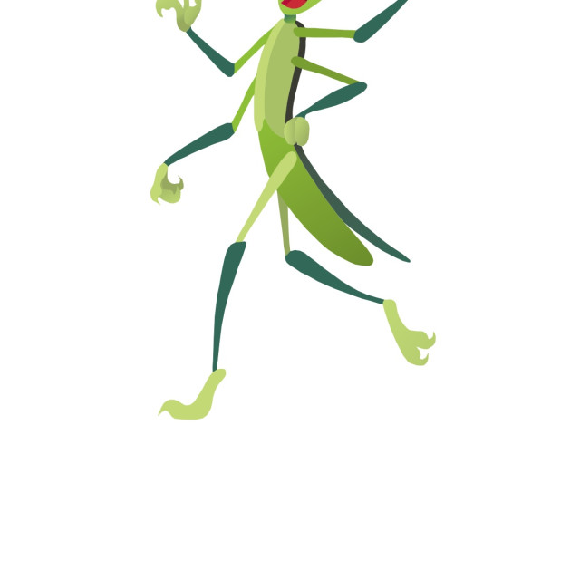 "Stick Insect Koolamooloo" stock image