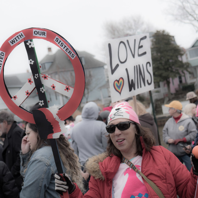 "MILLION WOMAN MARCH, ASBURY PARK NJ" by JOHN MOUNT - $24.67 "MILLION WOMAN MARCH, ASBURY PARK NJ" stock image