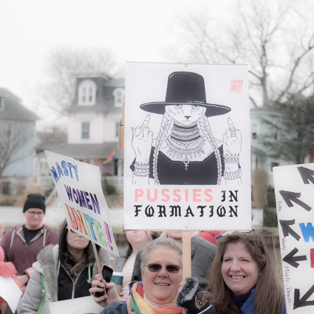 "MILLION WOMAN MARCH, ASBURY PARK NJ" by JOHN MOUNT - $24.67 "MILLION WOMAN MARCH, ASBURY PARK NJ" stock image