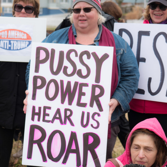 "MILLION WOMAN MARCH" by JOHN MOUNT - $24.67 "MILLION WOMAN MARCH" stock image