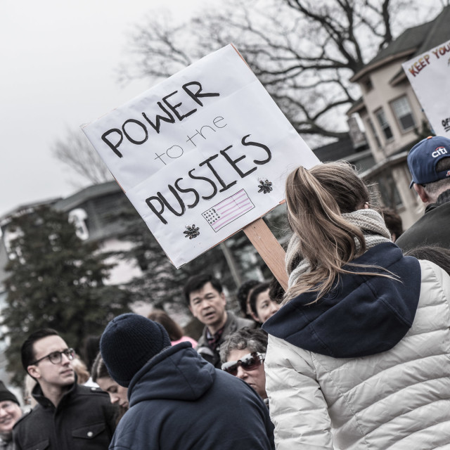 "MILLION WOMAN MARCH" by JOHN MOUNT - $24.67 "MILLION WOMAN MARCH" stock image