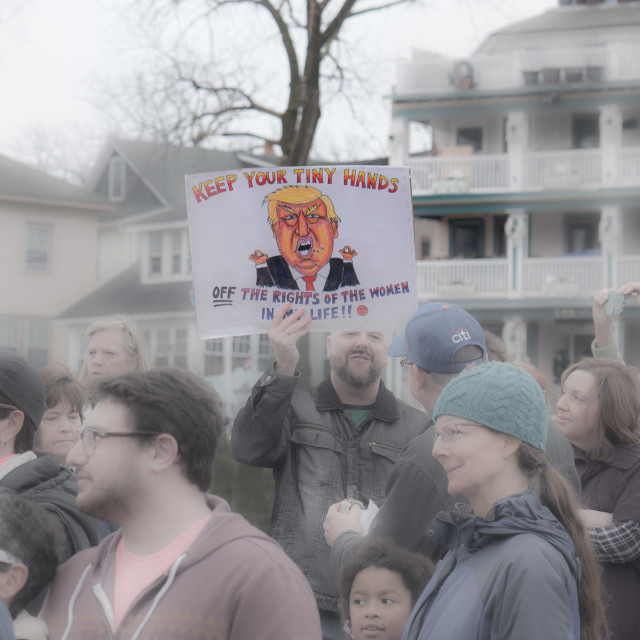 "MILLION WOMAN MARCH, ASBURY PARK NJ" by JOHN MOUNT - $24.67 "MILLION WOMAN MARCH, ASBURY PARK NJ" stock image