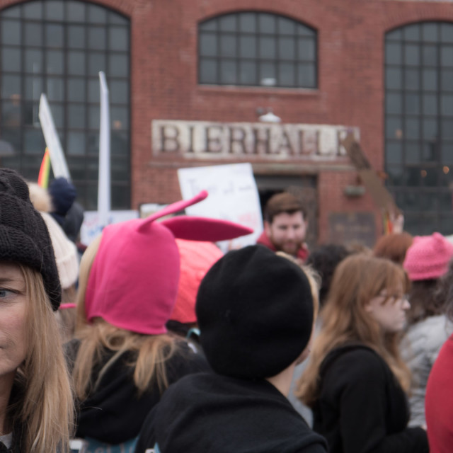 "MILLION WOMAN MARCH, ASBURY PARK NJ" by JOHN MOUNT - $24.67 "MILLION WOMAN MARCH, ASBURY PARK NJ" stock image