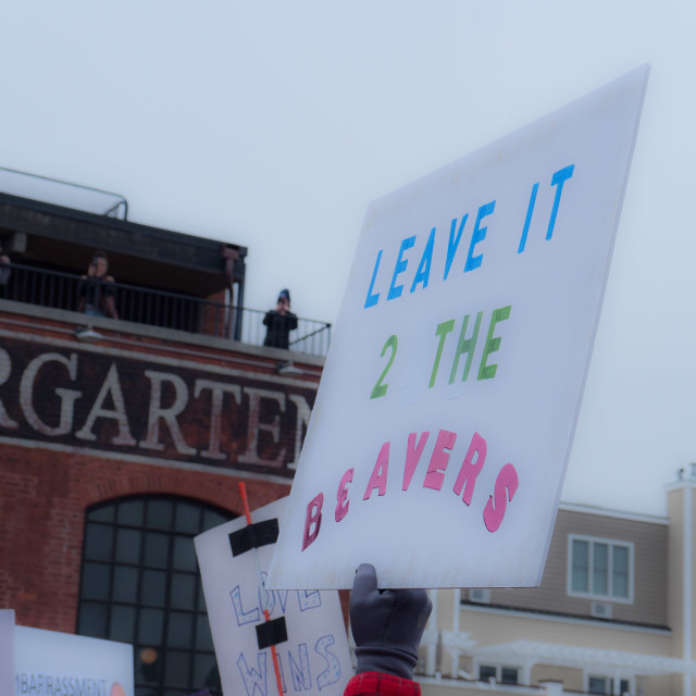 "MILLION WOMAN MARCH, ASBURY PARK NJ" by JOHN MOUNT - $24.67 "MILLION WOMAN MARCH, ASBURY PARK NJ" stock image