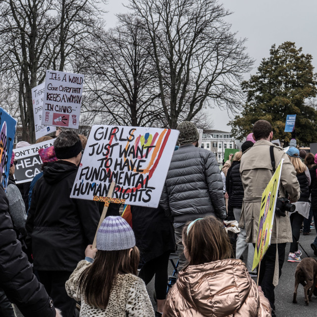 "MILLION WOMAN MARCH, ASBURY PARK NJ" by JOHN MOUNT - $24.67 "MILLION WOMAN MARCH, ASBURY PARK NJ" stock image