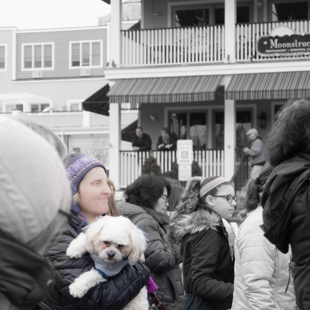 "MILLION WOMAN MARCH, ASBURY PARK NJ" by JOHN MOUNT - $24.67 "MILLION WOMAN MARCH, ASBURY PARK NJ" stock image