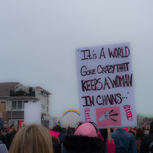 "MILLION WOMAN MARCH, ASBURY PARK NJ" by JOHN MOUNT - $24.67 "MILLION WOMAN MARCH, ASBURY PARK NJ" stock image