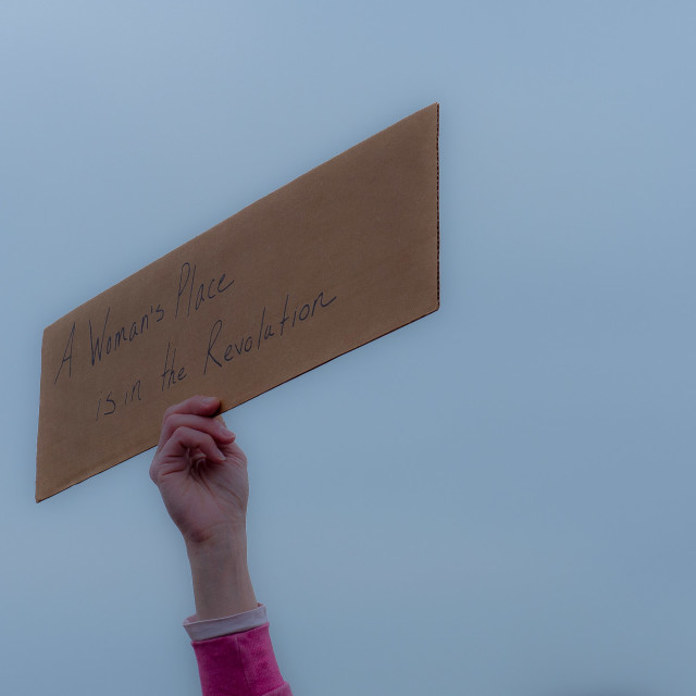 "ASBURY PARK, NJ, MILLION WOMAN MARCH" by JOHN MOUNT - $24.67 "ASBURY PARK, NJ, MILLION WOMAN MARCH" stock image