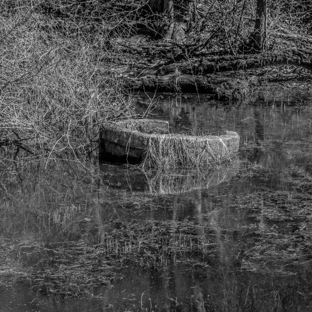 "DELAWARE AND RARITAN CANAL" by JOHN MOUNT - $25.10 "DELAWARE AND RARITAN CANAL" stock image
