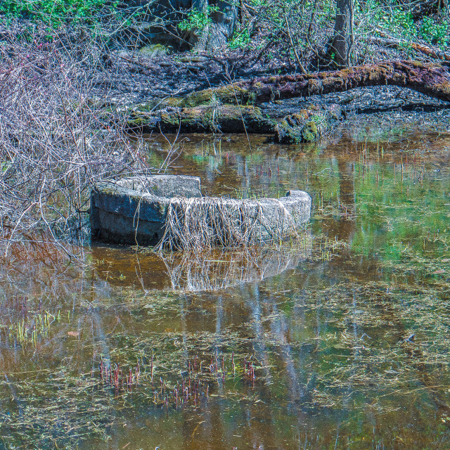 "DELAWARE AND RARITAN CANAL" by JOHN MOUNT - $25.10 "DELAWARE AND RARITAN CANAL" stock image