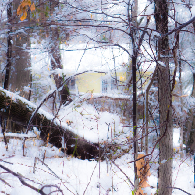 "THE MOUNTAIN HOUSE" by JOHN MOUNT - $25.10 "THE MOUNTAIN HOUSE" stock image