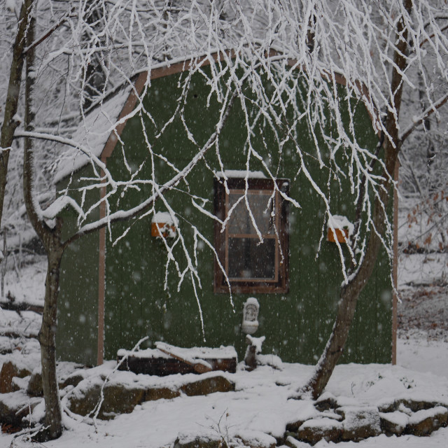 "GREEN SHED IN THE SNOW" by JOHN MOUNT - $25.10 "GREEN SHED IN THE SNOW" stock image