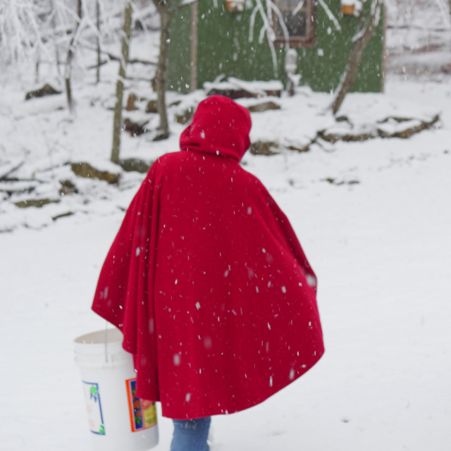 "GIRL IN RED HOOD AND COAT IN THE SNOW" by JOHN MOUNT - $25.10 "GIRL IN RED HOOD AND COAT IN THE SNOW" stock image