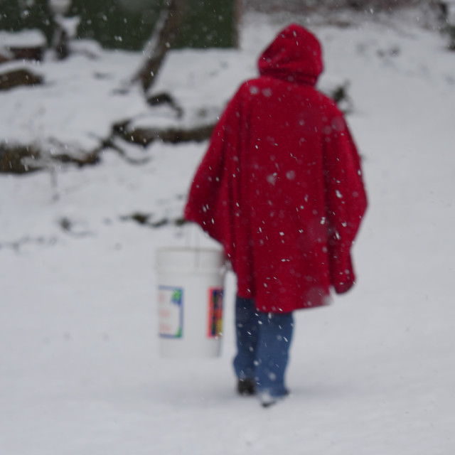"GIRL IN RED HOOD AND COAT IN THE SNOW" by JOHN MOUNT - $25.10 "GIRL IN RED HOOD AND COAT IN THE SNOW" stock image
