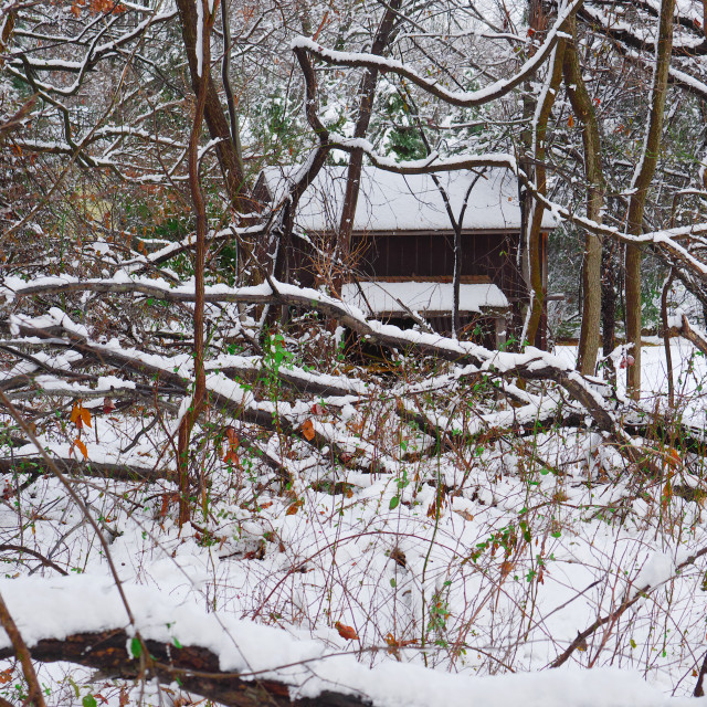 "WINTER SCENE" by JOHN MOUNT - $25.10 "WINTER SCENE" stock image