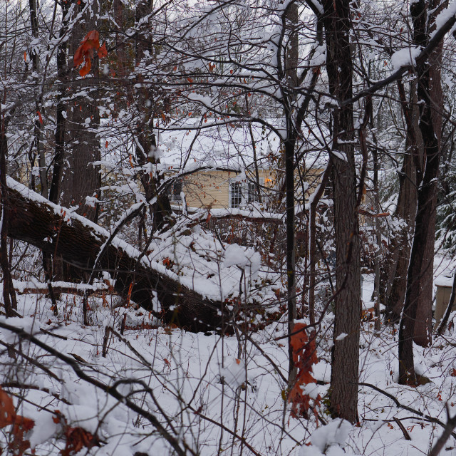 "WINTER SCENE" by JOHN MOUNT - $25.10 "WINTER SCENE" stock image