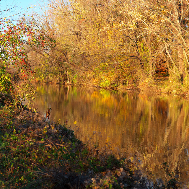 "DELAWARE AND RARITAN CANAL" by JOHN MOUNT - $25.10 "DELAWARE AND RARITAN CANAL" stock image