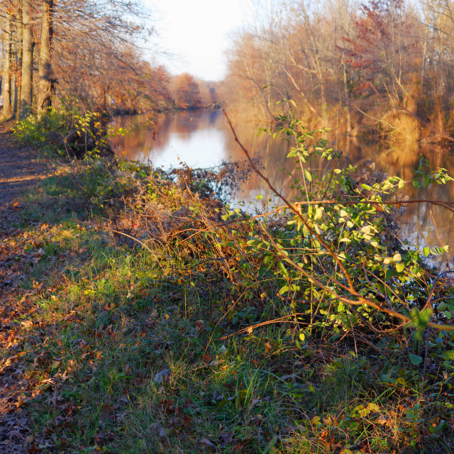 "DELAWARE AND RARITAN CANAL" by JOHN MOUNT - $25.10 "DELAWARE AND RARITAN CANAL" stock image