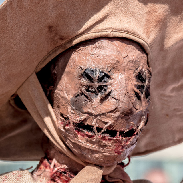 "SCARECROW OF OZ ZOMBIE" by JOHN MOUNT - $25.14 "SCARECROW OF OZ ZOMBIE" stock image
