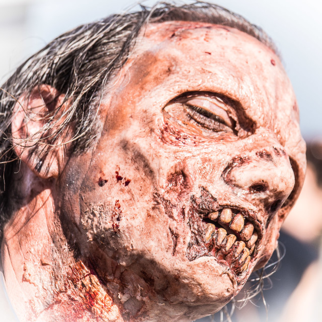 "ZOMBIE AT THE ASBURY PARK NJ ZOMBIE WALK" by JOHN MOUNT - $25.14 "ZOMBIE AT THE ASBURY PARK NJ ZOMBIE WALK" stock image
