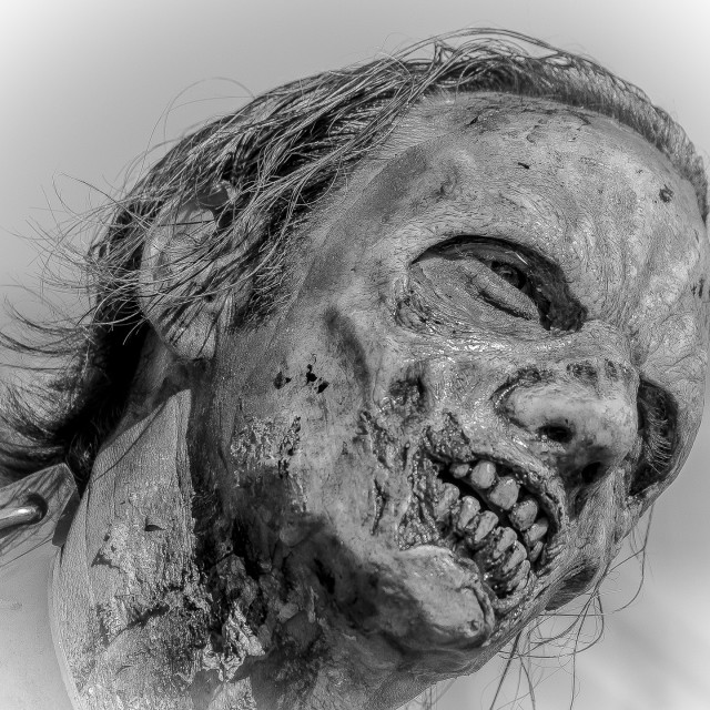 "ZOMBIE AT THE ASBURY PARK NJ ZOMBIE WALK" by JOHN MOUNT - $25.14 "ZOMBIE AT THE ASBURY PARK NJ ZOMBIE WALK" stock image