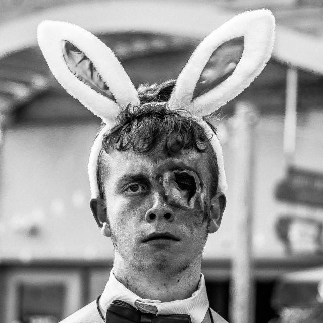 "BUNNY ZOMBIE" by JOHN MOUNT - $25.14 "BUNNY ZOMBIE" stock image