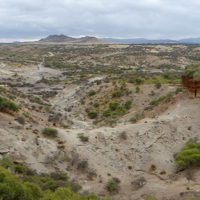 "Olduvai Panorama" stock image