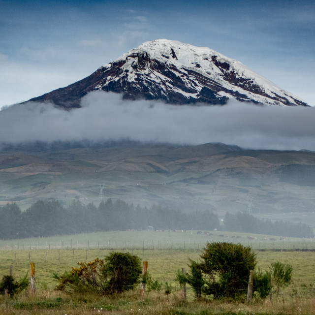 "Chimborazo. Volcano. Cone." stock image