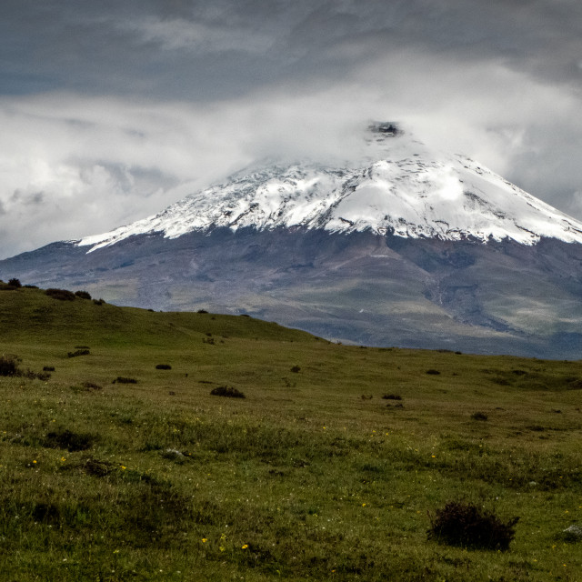 "Cotopaxi Volcano" stock image