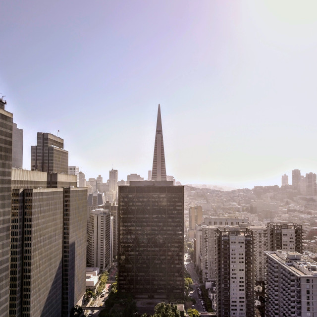 "SF Cityscape" stock image