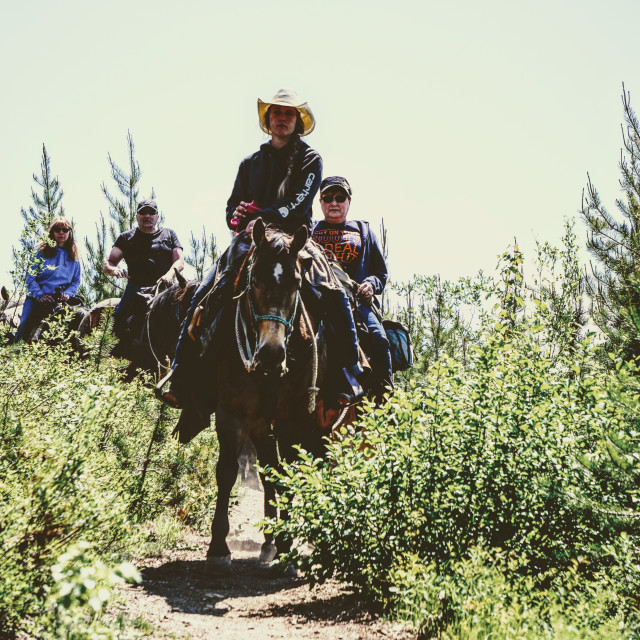 "montana cowgirl" stock image