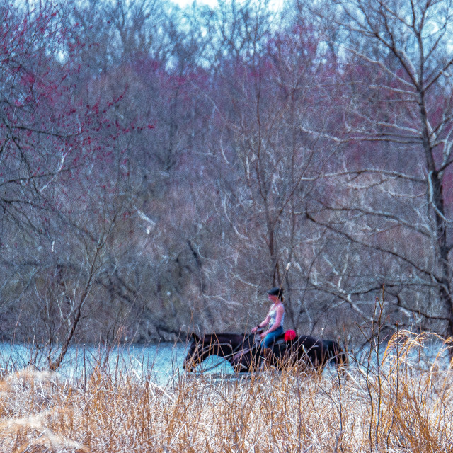 "woman riding a horse in the country" by JOHN MOUNT - $25.10 "woman riding a horse in the country" stock image