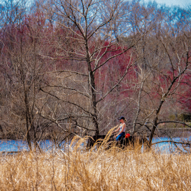 "woman riding a horse in the country" by JOHN MOUNT - $25.10 "woman riding a horse in the country" stock image