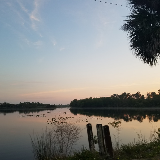 "Fox Lake Park in Titusville,fl" by Janille Eclavea - $6.20 "Fox Lake Park in Titusville,fl" stock image