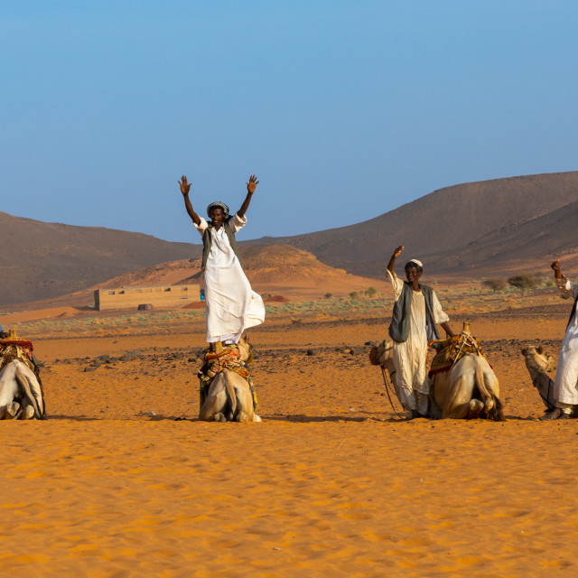 "Sudanese men and their camels in Meroe, Northern State, Meroe, Sudan" stock image