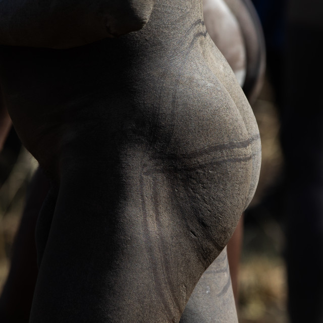 Naked Suri Tribe Warriors Make Up During A Donga Stick Fighting Ritual Omo License