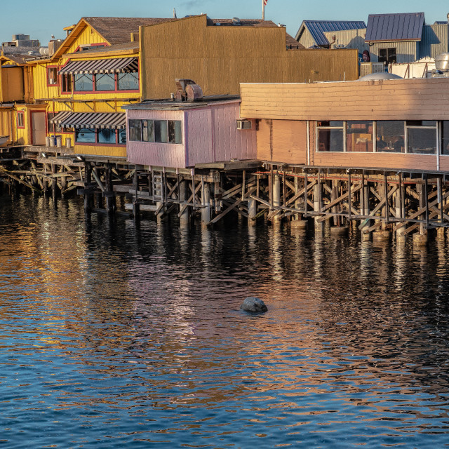 "Monterey Wharf" by JOHN MOUNT - $25.14 "Monterey Wharf" stock image