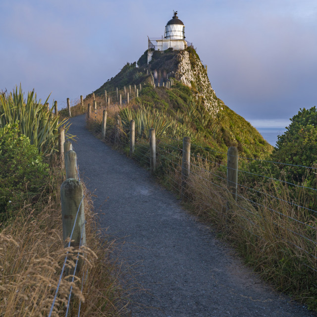 "Nugget Point lighthouse. Ahuriri Flat, Clutha district, Otago region, South..." stock image