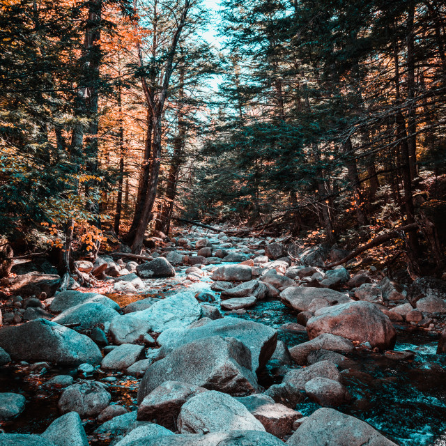 "New England Fall" by Philip Mowbray - $12.65 "New England Fall" stock image
