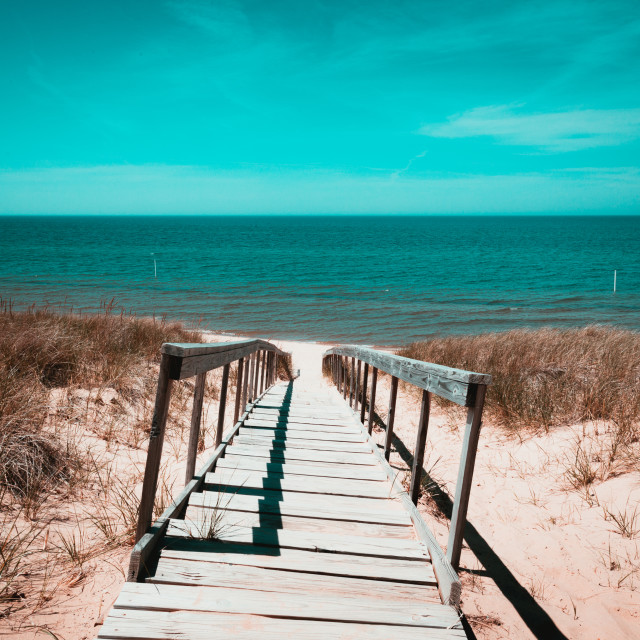 "Looking over the dunes towards Lake Michigan from Saugatuck Beach, MI" stock image