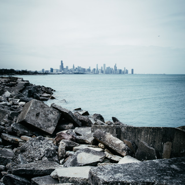 "Chicago Cityscape" stock image