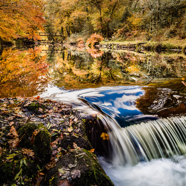 "Autumn Falls" stock image. 