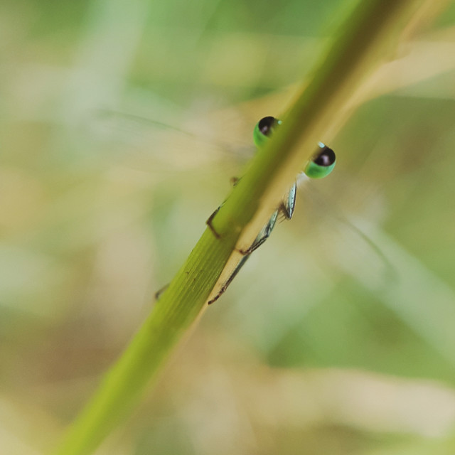 "You can't see me" stock image