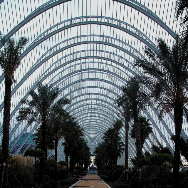 "L'Umbracle Of Valencia" stock image