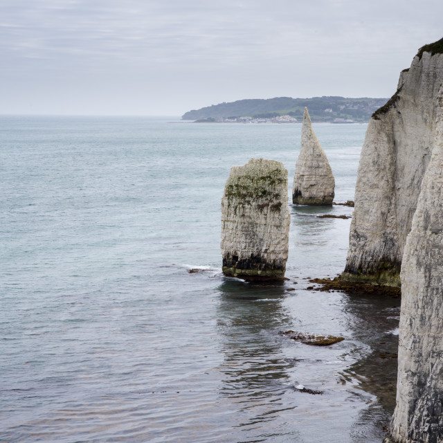 "White chalk cliff and stacks" stock image