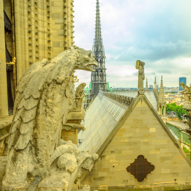 "The gargoyles of Notre Dame cathedral from aerial view on Paris skyline...." stock image