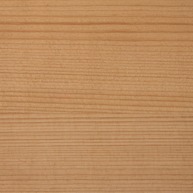 "fine wood grain for background" stock image