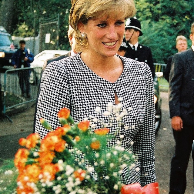 Diana, Princess of Wales - License, download or print for £31.00 ...