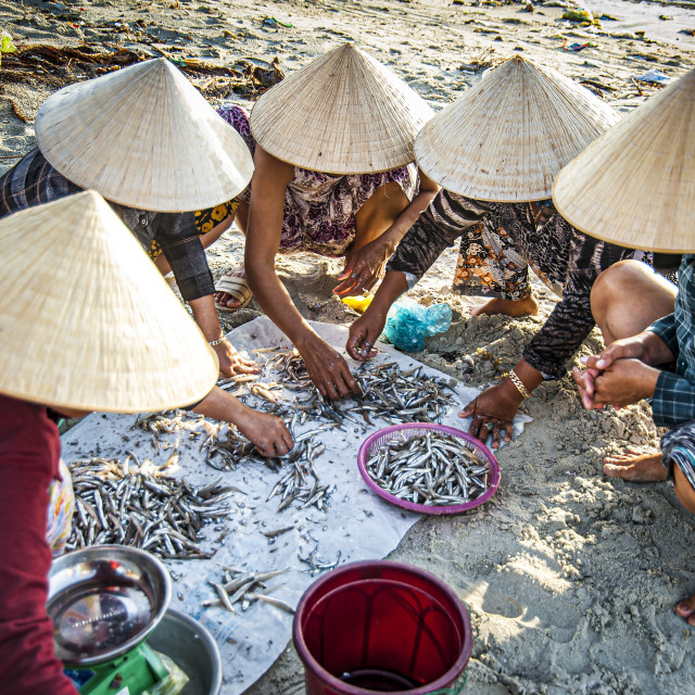 "Sorting the Morning Catch" stock image